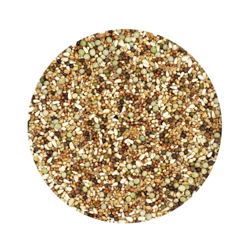 Versele-Laga Show Tumbler-Flyer Mix Pigeon Food 20kg